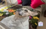 My Picture's Personalised Photo Blanket REVIEW