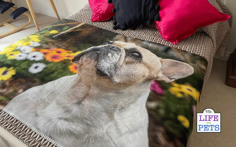 My Picture's Personalised Photo Blanket REVIEW