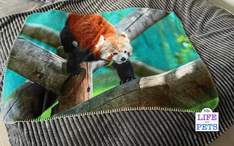 My Picture's Personalised Photo Blanket REVIEW