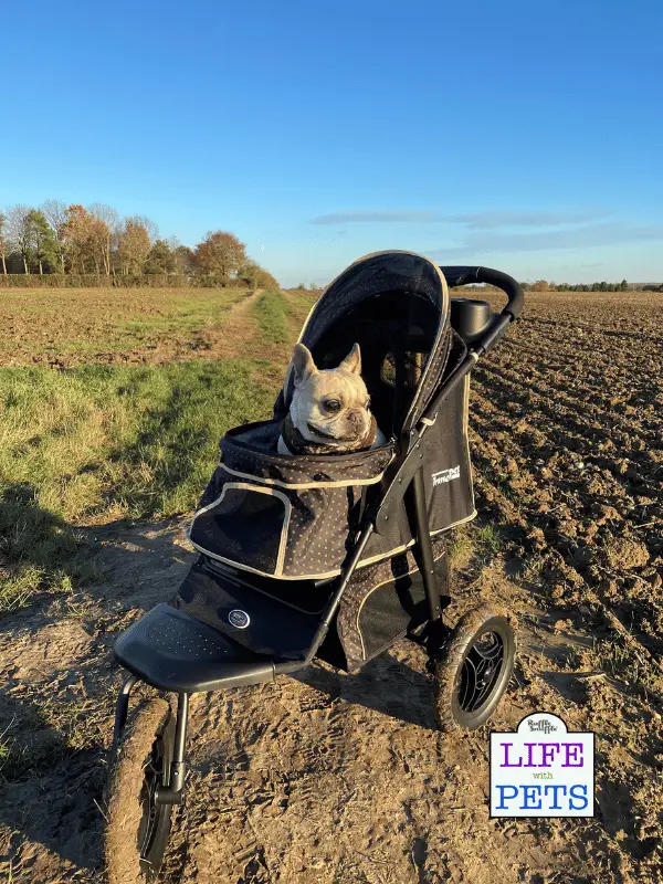 Innopet Adventure Buggy All Terrain Dog Stroller Review Innopet Adventure Buggy All Terrain Dog Stroller Review - 2023