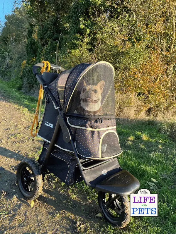 Innopet Adventure Buggy All Terrain Dog Stroller Review Innopet Adventure Buggy All Terrain Dog Stroller Review - 2023