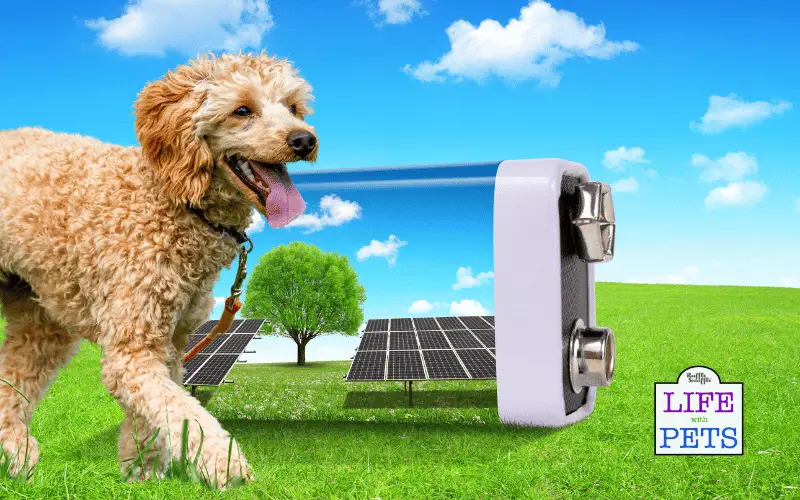 Solar Batteries and Coastal Erosion Prevention: A New Wave