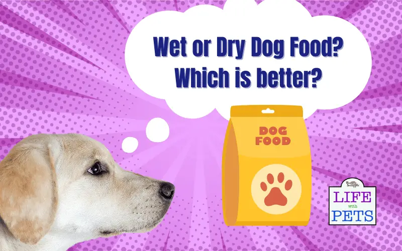 Comparing Wet And Dry Dog Food: Which Is Better?