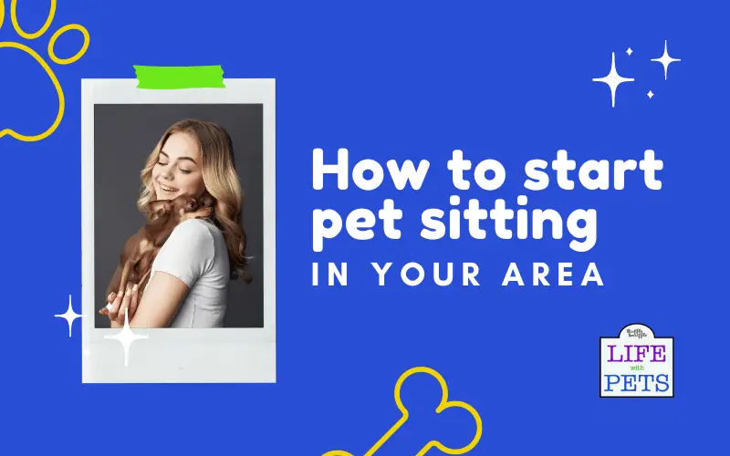 Pet sitting business tips