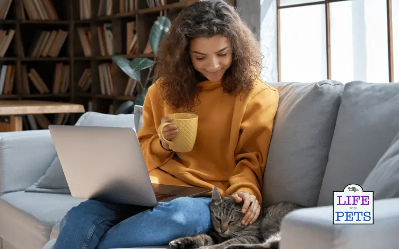 Pet sitting business tips