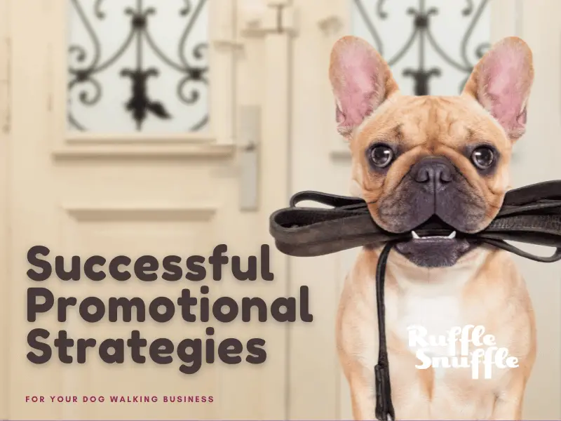 Pawsitively Successful Promotional Strategies for Your Dog Walking Business