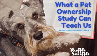 Pet Ownership Study Can Teach Us About Our Furry Friends