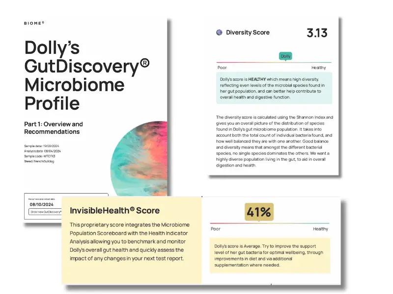 A Review of the Biome9 GutDiscovery Test for Dogs (2)