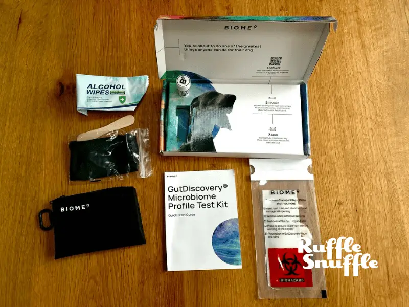 A Review of the Biome9 GutDiscovery Test for Dogs