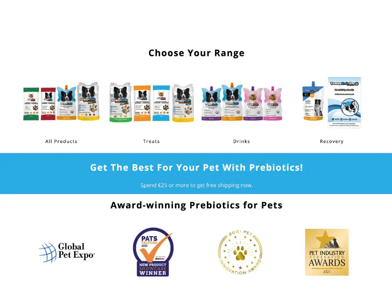 Boosting Gut Health for My Frenchie with a Review of DoggyRade's Pet Products Review-of-DoggyRades-Pet-prebiotics