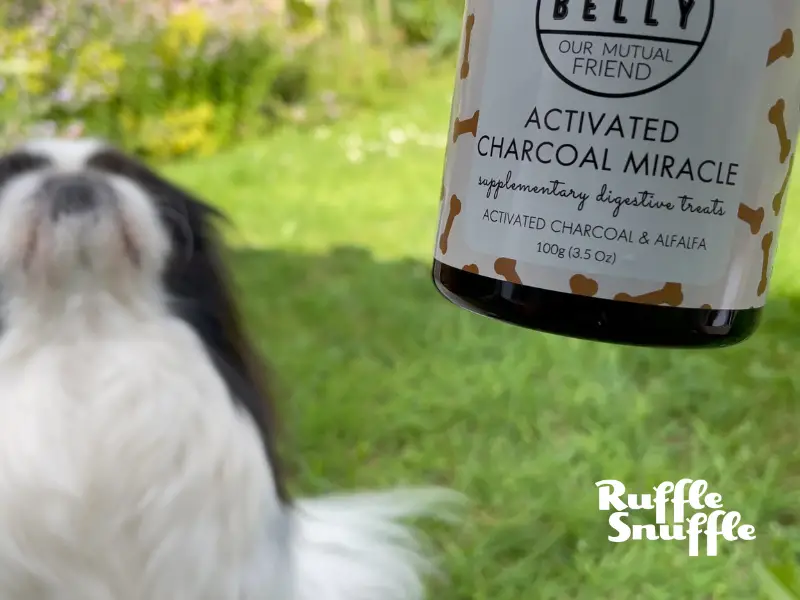 Belly Dog Supplement Review 2024 - activated charcoal