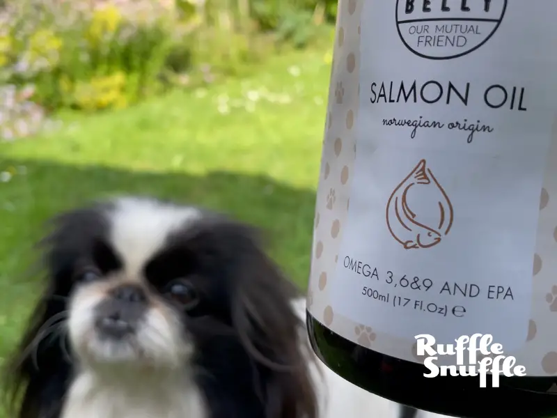 Belly Dog Supplement Review 2024 - salmon oil