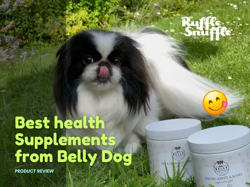 Enhancing Miso’s Health with Activated Charcoal, Salmon Oil, and Probiotics from Belly Dog