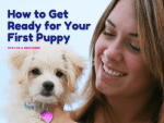 How to Get Ready for Your First Puppy