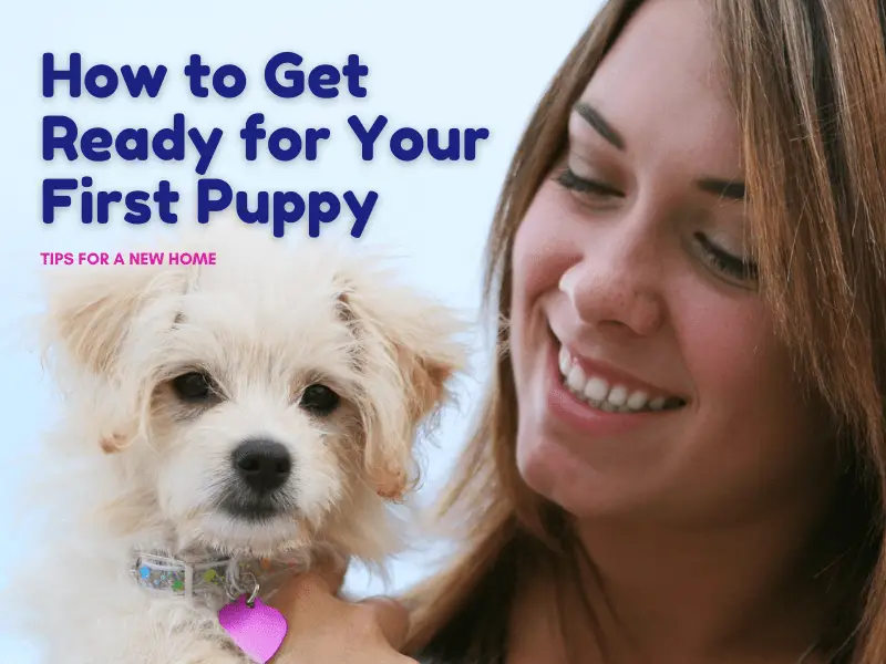 How to Get Ready for Your First Puppy