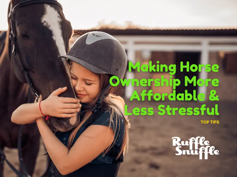 Top Tips To Make Horse Ownership More Affordable & Less Stressful