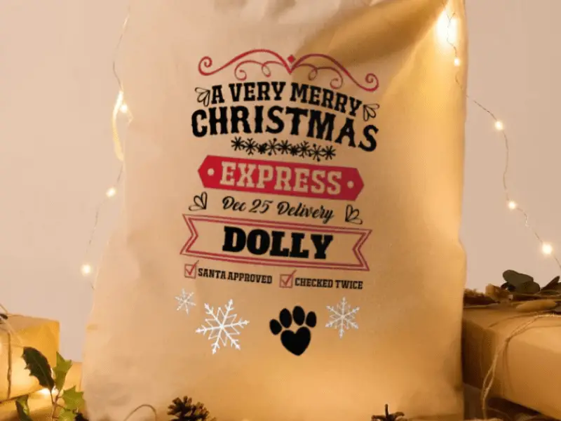 5 Cosy Christmas Gifts for Dogs and Their Owners 5 Cosy Christmas Gifts for Dogs and Their Owners