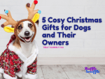 5 Cosy Christmas Gifts for Dogs and Their Owners