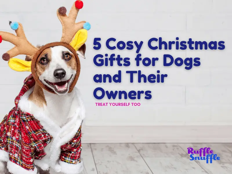 5 Cosy Christmas Gifts for Dogs and Their Owners