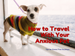 Tips for Stress-Free Journeys