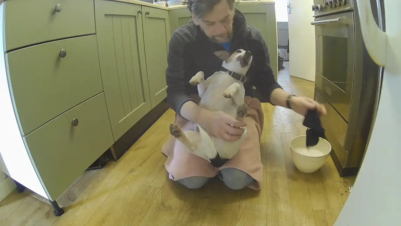 Do your dog's paws smell? Dog health by Ruffle Snuffle